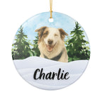 Winter Forest Ornament